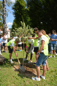 INSIEME PER LA PACE - albero